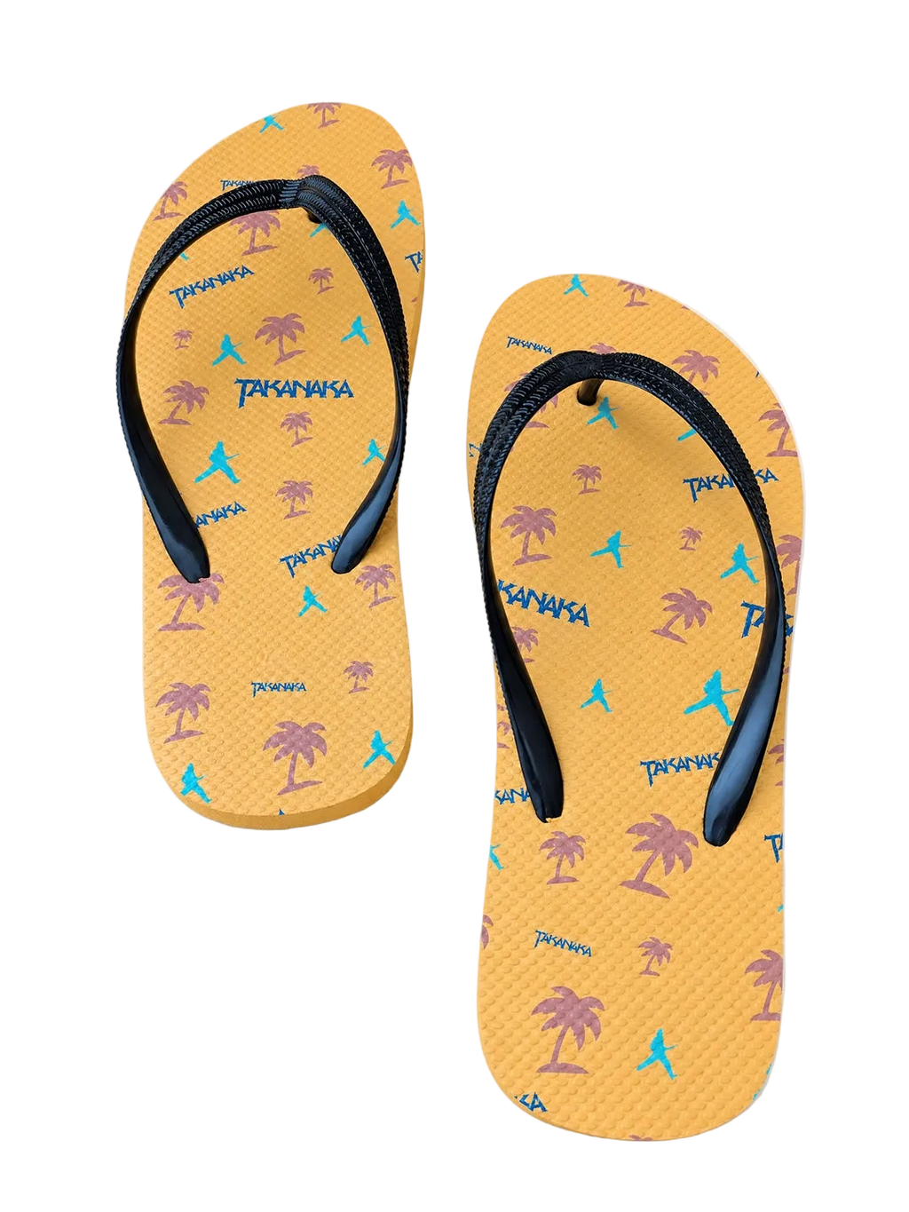 Flip Flops